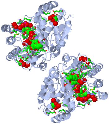 Image Biol. Unit 1 - sites