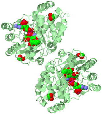 Image Biological Unit 2