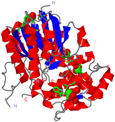 Image Asym. Unit - sites