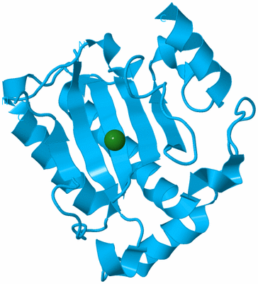 Image Biological Unit 10