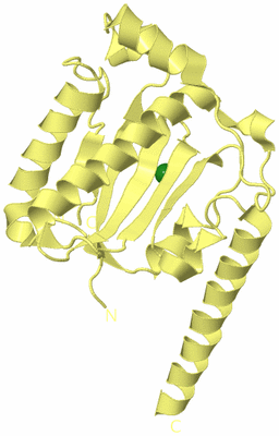 Image Biological Unit 4