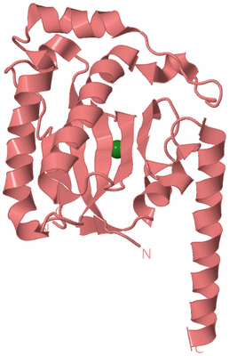 Image Biological Unit 8