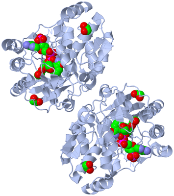 Image Biological Unit 1