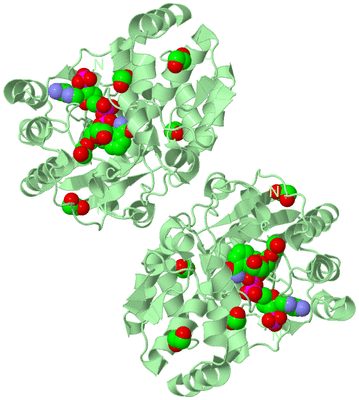 Image Biological Unit 2