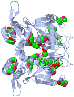 Image Biol. Unit 1 - sites