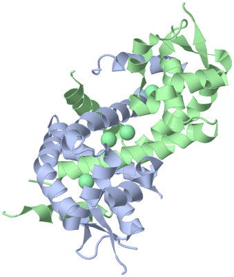 Image Asym./Biol. Unit