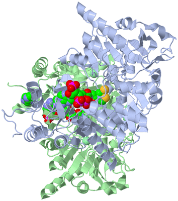 Image Asym./Biol. Unit