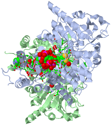 Image Asym./Biol. Unit - sites