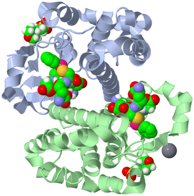 Image Asym./Biol. Unit