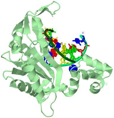 Image Biological Unit 1