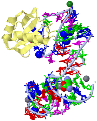 Image Biological Unit 1