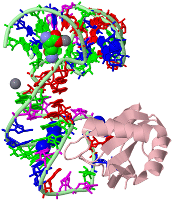 Image Biological Unit 2