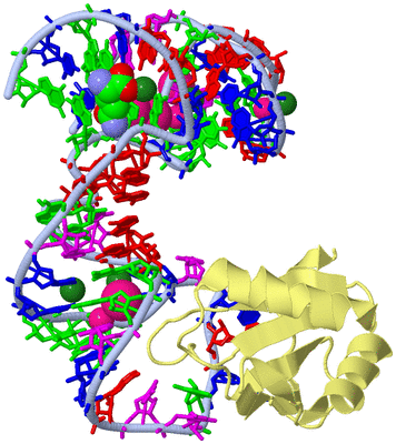 Image Biological Unit 1