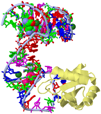 Image Biol. Unit 1 - sites