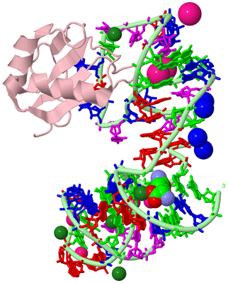 Image Biological Unit 2