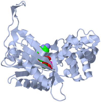 Image Biological Unit 1