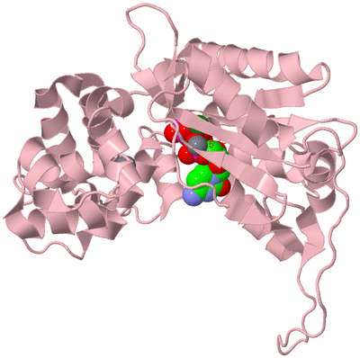 Image Biological Unit 2