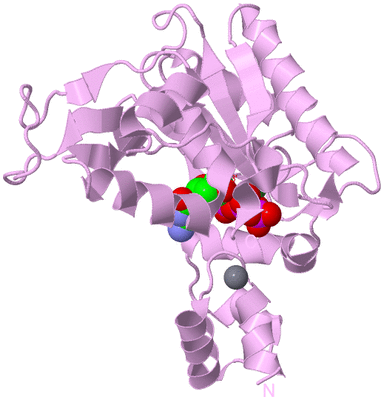 Image Biological Unit 3