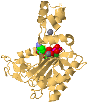 Image Biological Unit 4