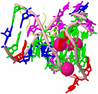 Image Biological Unit 2