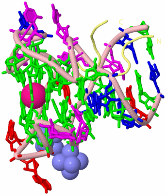 Image Biological Unit 2