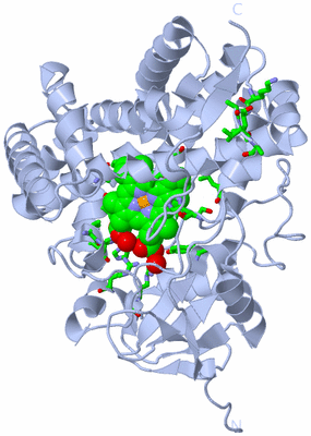 Image Biol. Unit 1 - sites