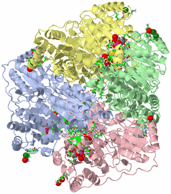 Image Asym./Biol. Unit - sites