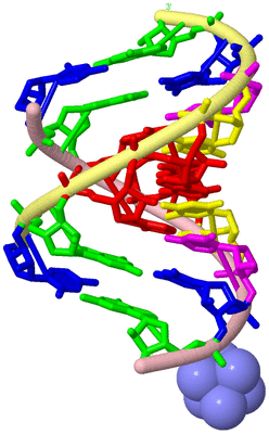 Image Biological Unit 2