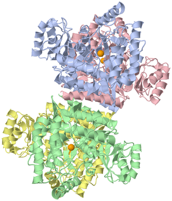 Image Asym./Biol. Unit