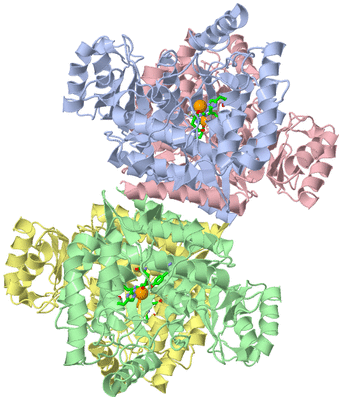 Image Asym./Biol. Unit - sites