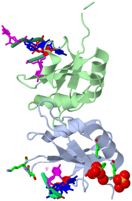 Image Asym./Biol. Unit - sites