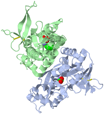 Image Asym./Biol. Unit