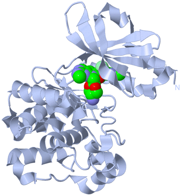 Image Biological Unit 1