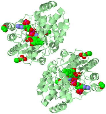 Image Biological Unit 2