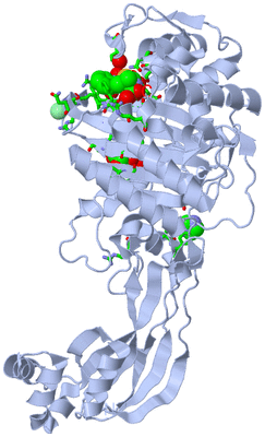 Image Biol. Unit 1 - sites