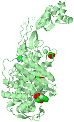 Image Biological Unit 2