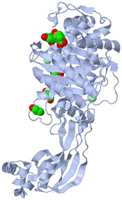 Image Biological Unit 1