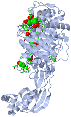 Image Biol. Unit 1 - sites