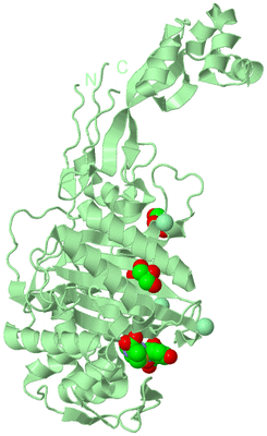 Image Biological Unit 2