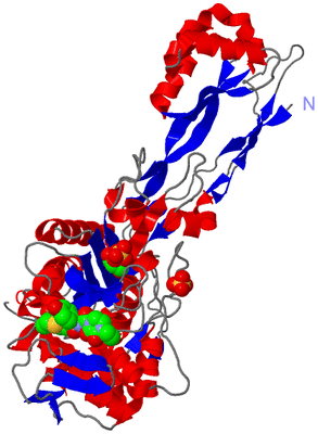 Image Asym./Biol. Unit