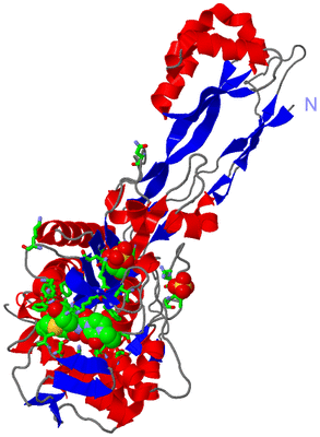 Image Asym./Biol. Unit - sites