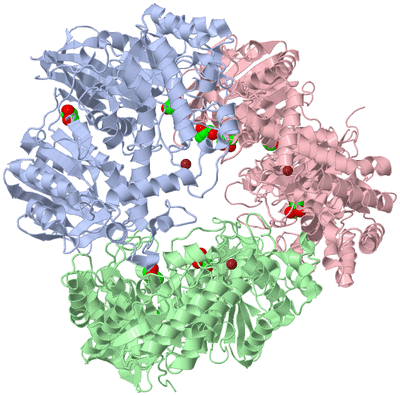 Image Asym./Biol. Unit