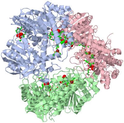 Image Asym./Biol. Unit - sites