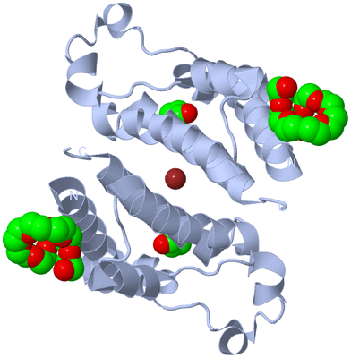 Image Biological Unit 1