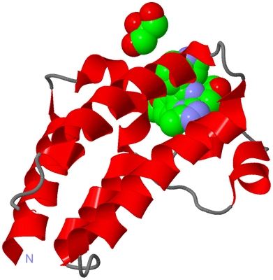 Image Asym./Biol. Unit