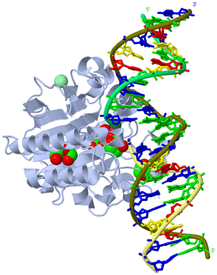 Image Biological Unit 1