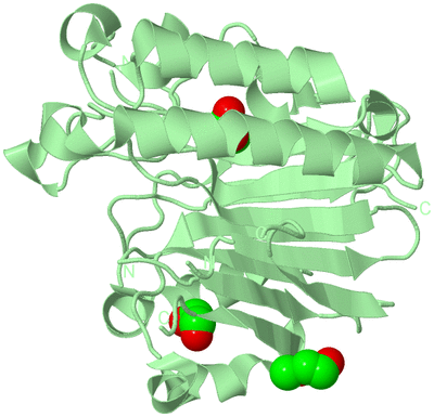 Image Biological Unit 2