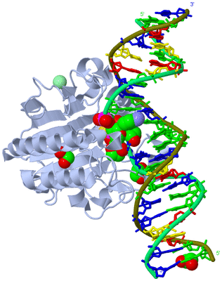 Image Biological Unit 1