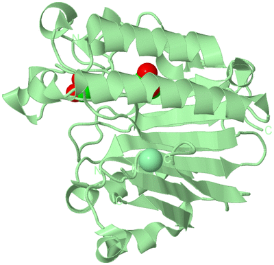 Image Biological Unit 2