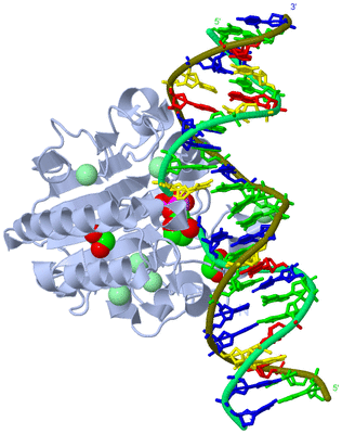 Image Biological Unit 1